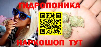 индика Кинель