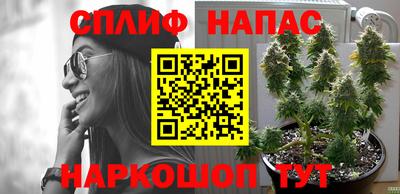 индика Кинель