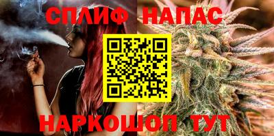 индика Кинель