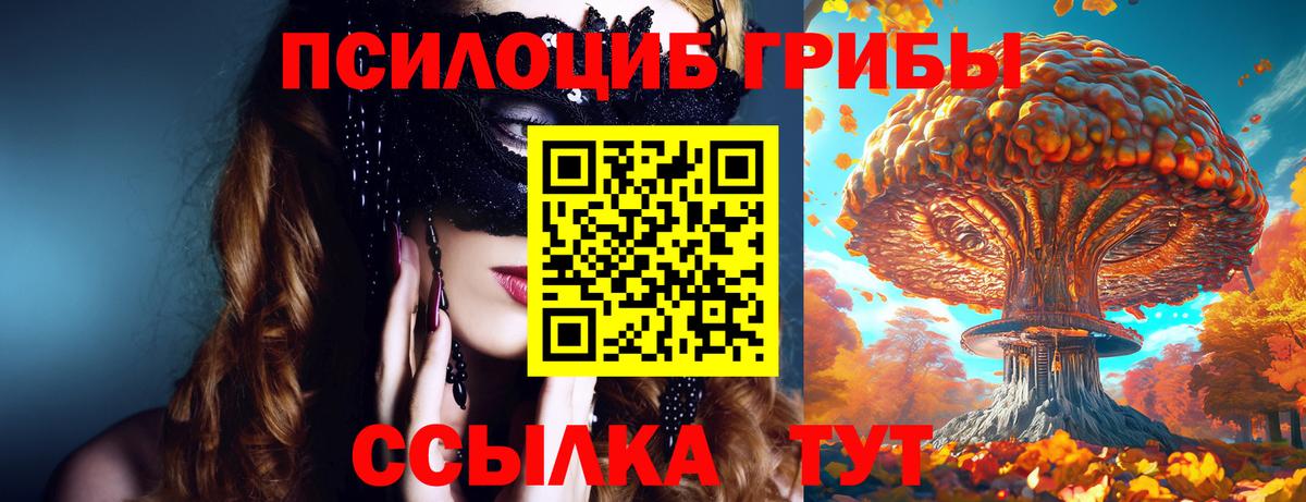 Псилоцибиновые грибы Psilocybine cubensis Шахты
